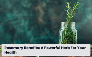 Rosemary Benefits: A Powerful Herb for Your Health