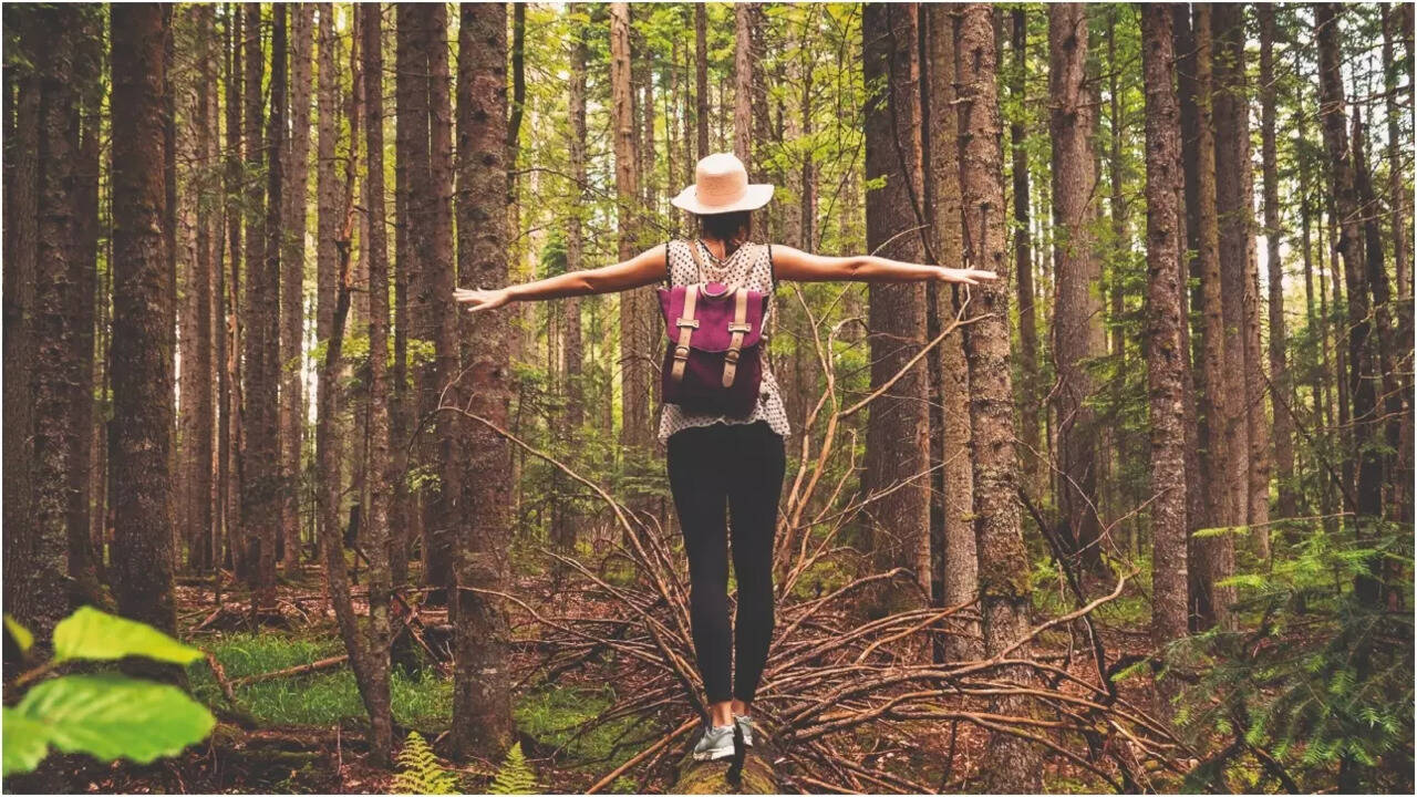 Reduce Screen Time / Digital Detox