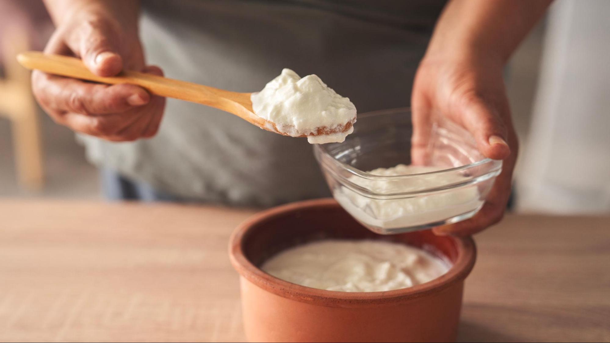 Yogurt and probiotic foods